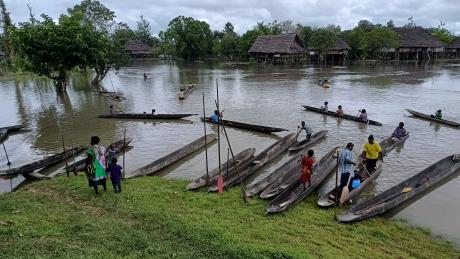 Canoes parking on the Sepik river bank