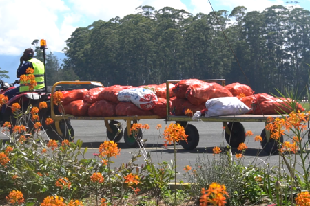 Veggies being transported to the plane