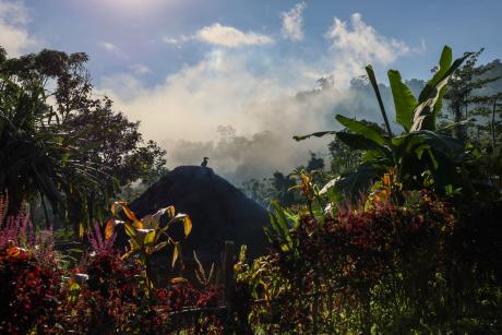 landscape remote PNG