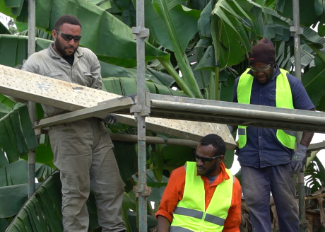 Calvin and Gerald dismantling the scaffolding