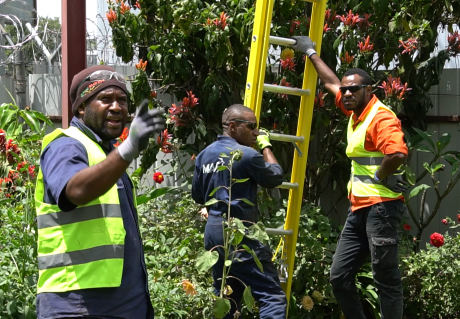 Sylvester instructing Robin and Gerald