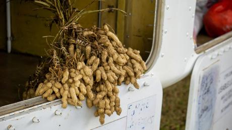 Some peanuts in an aeroplane cargo pod