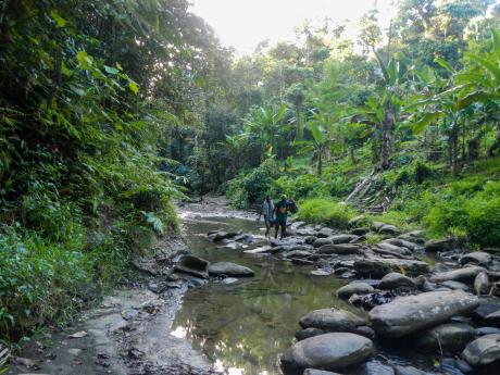 Two men hiking in the jungle
